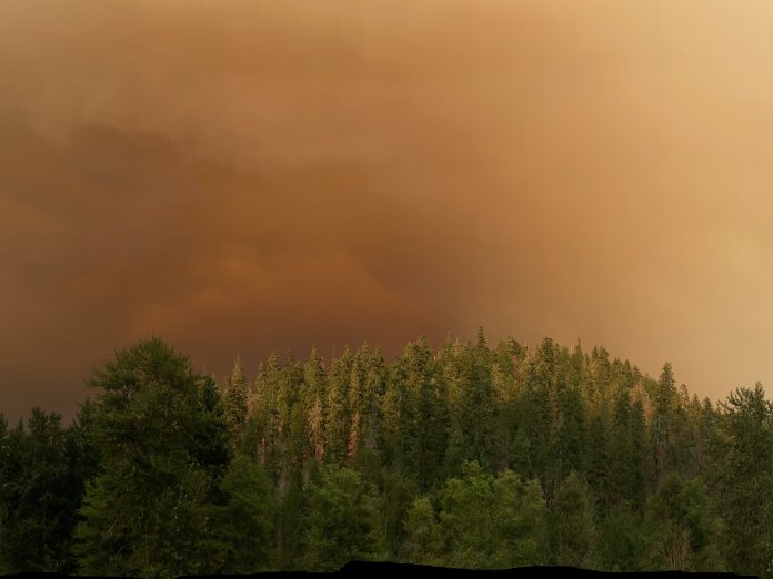 Oregon Wildfire Smoke
