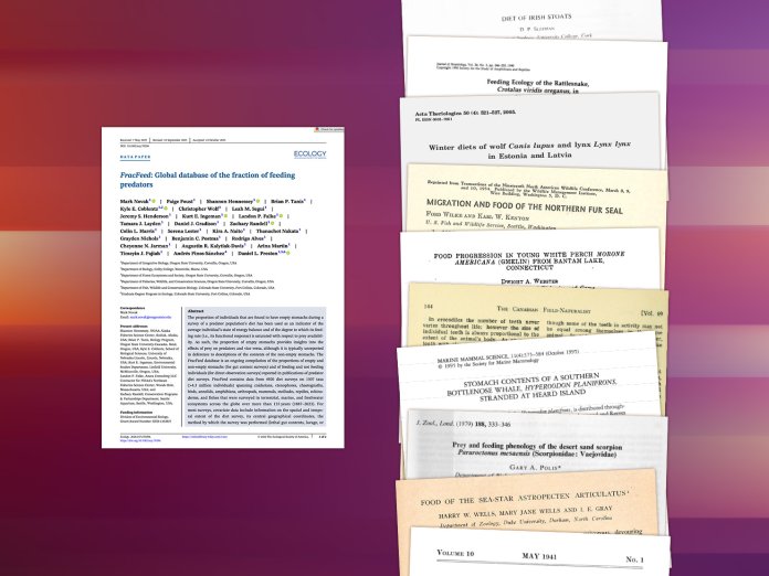 An illustration showing a single research article compared to a large stack of research articles