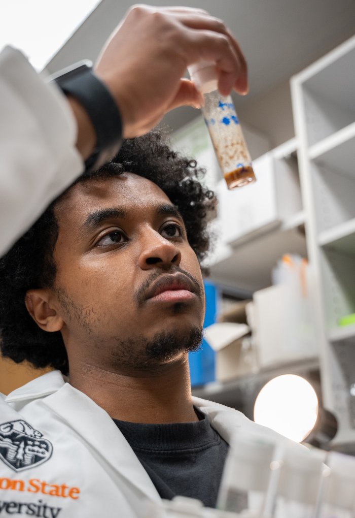 An undergraduate researcher looks inquisitively at a vial in a lab, donning an Oregon State lab coat.