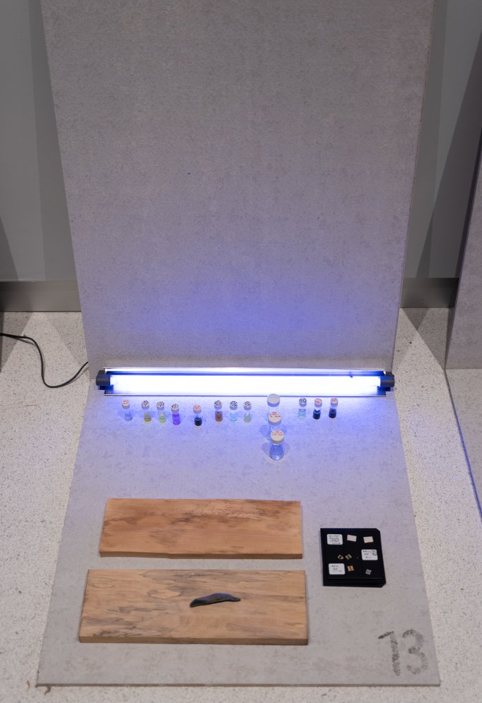 A museum display showing a piece of wood and vials.