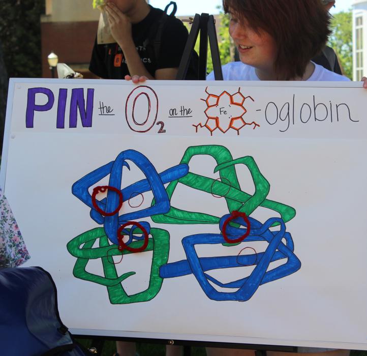 female student holding up hand drawn diagram poster