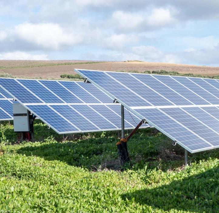 Rows of solar panels facing upwards on a sunny day.
