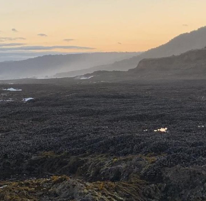 Dark, rocky shores stretch to the ocean against a hazy sunrise, waves lapping against the rocks.