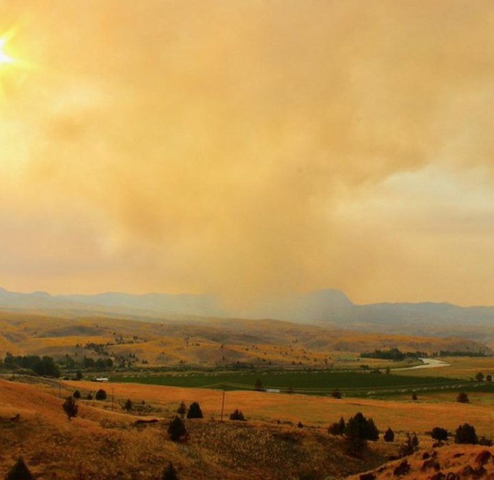 Sweeping valley hills are blanketed by orange vegetation, which is reflected in the pale orange sky above.
