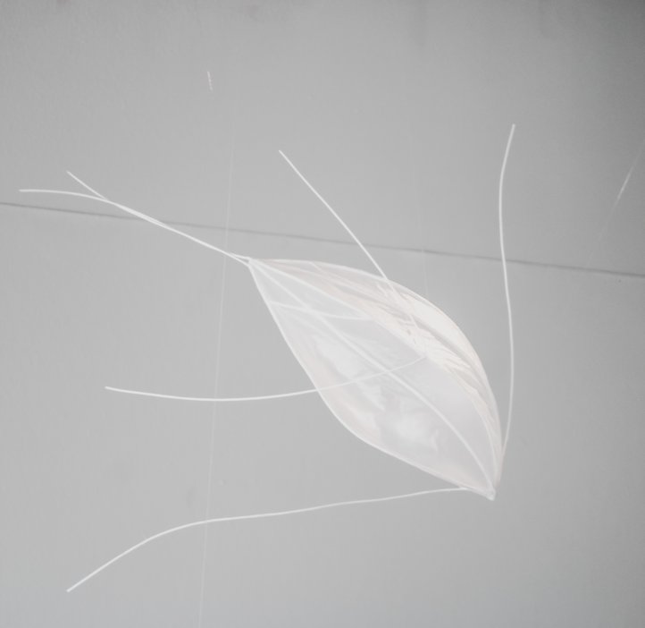 Paper artwork of fish parasite displayed on the ceiling. 