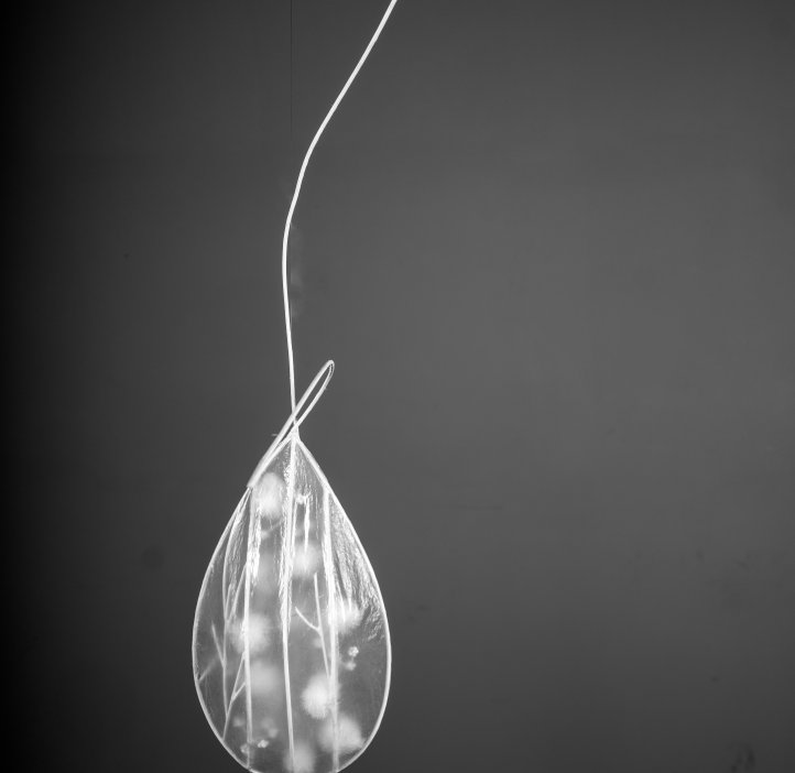 Paper artwork of fish parasite displayed on the ceiling.
