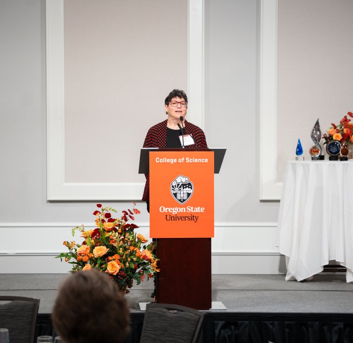 Dean Eleanor Feingold stands on the stage at the Alumni Awards.