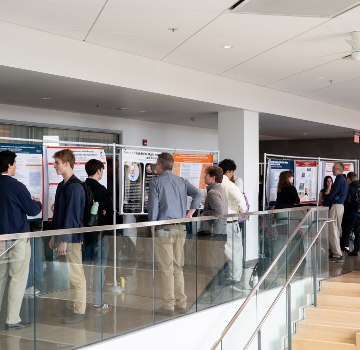 Students wander around looking at thesis posters.