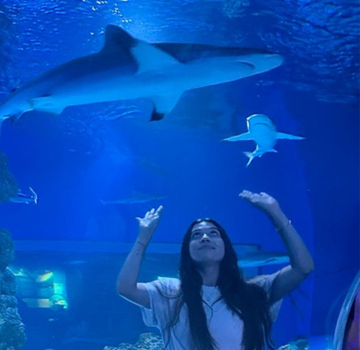 A woman in an aquarium looking at a shark.